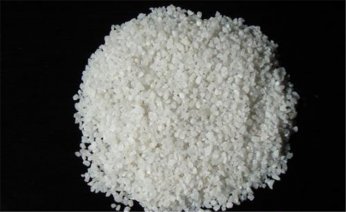 草坪樱花草在线社区www砂