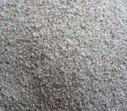 人造草坪普通樱花草在线社区www砂